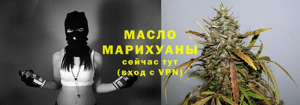 стаф Богородск