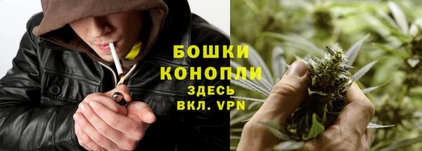 МДПВ Богданович