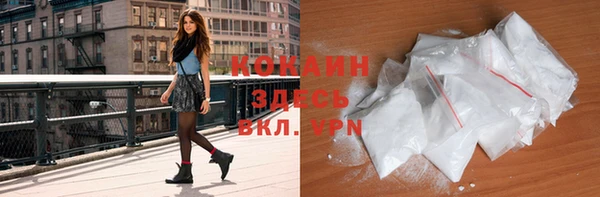 тгк Богородицк