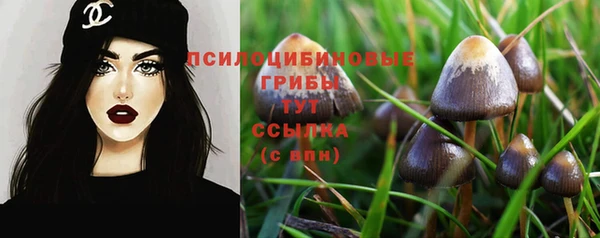 тгк Богородицк