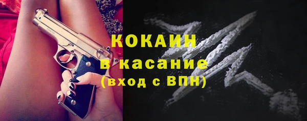 тгк Богородицк