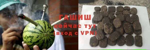 стаф Богородск