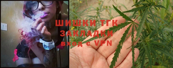 стаф Богородск