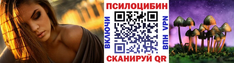 Галлюциногенные грибы Psilocybe  Купить закладки  Кувшиново 